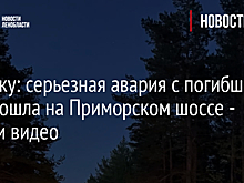Всмятку: серьезная авария с погибшим произошла на Приморском шоссе - фото и видео