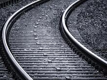 В Ленобласти старушка попала под поезд и выжила