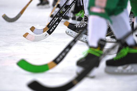Широков, Аршавин, Быстров и игроки из НХЛ, как ожидается, сыграют в хоккейной Медиалиге