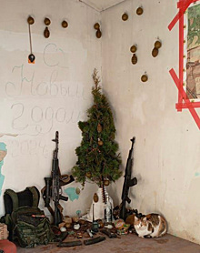 Курганские бойцы из зоны СВО украсили елку гранатами и автоматами на Новый год
