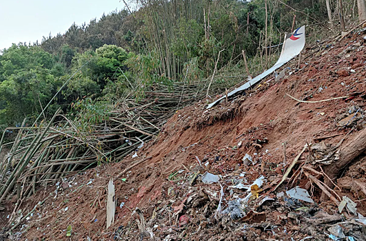 Обнаружен черный ящик разбившегося в Китае Boeing 737