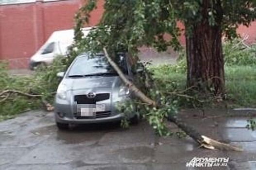 Взыскиваем ущерб.Что делать, если машина пострадала во время урагана?