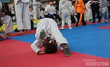 К Чемпионату Мира по карате Курскую область готовят мастера боевых искусств