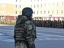 Ветераны СВО открывают бизнес в сферах услуг, туризма и сельского хозяйства