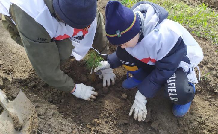 В Курской области в рамках акции «Сад Памяти» высадили около 4,2 тыс.саженцев сосны и дуба