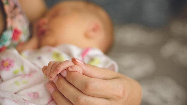 7271 вологодская семья получила ежемесячно выплаты на рождение первого ребенка в 2020 году