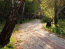 Объявлен срочный сбор на поиски пенсионерки в Калачинске