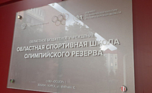 Курские первоклассники завоевали Кубок области по спортивной гимнастике