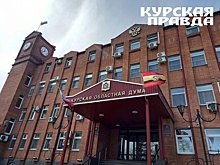 Курская областная Дума изучает перспективы производства амаранта