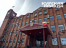 В Курской области депутатов поздравили с Днём российского парламентаризма