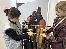 Русский соболь вызвал большой интерес на выставке меха в Гонконге