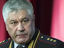 Глава МВД уволил двух сотрудников за отказ в убежище блогеру