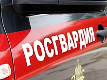 Пожилой пензенец попал домой благодаря росгвардейцам