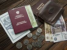 Профессор рассказал о возможности некоторых россиян получать две пенсии