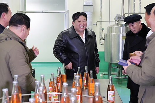 Лидер КНДР обозначил направления развития производств в корейской периферии