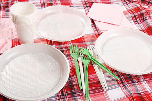 В Минпромторге назвали невозможным отказ от пластика к 2024 году