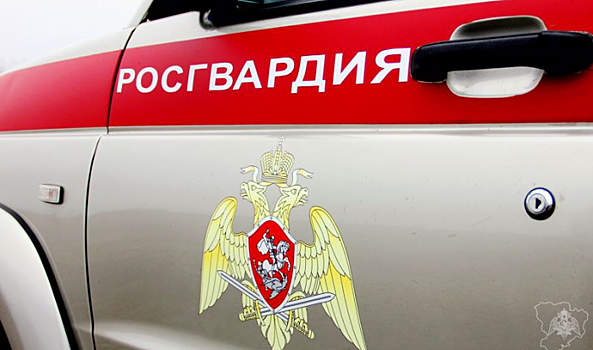 Под Волгоградом автомобиль Росгвардии попал в ДТП