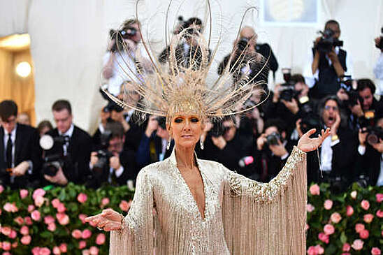 PETA призвала организаторов Met Gala запретить использование перьев птиц в нарядах