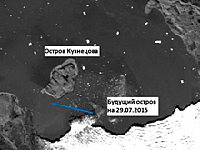 Открытый российскими школьниками остров в Арктике признали в Минобороны