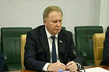 Наговицын предложил закрепить право продлевать парламентские расследования