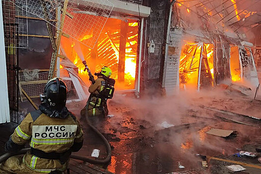 В МЧС раскрыли предварительную причину пожара на рынке в Ростове-на-Дону 
