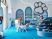 На радость питомцу: где в Москве выбрать идеальный подарок для любимца