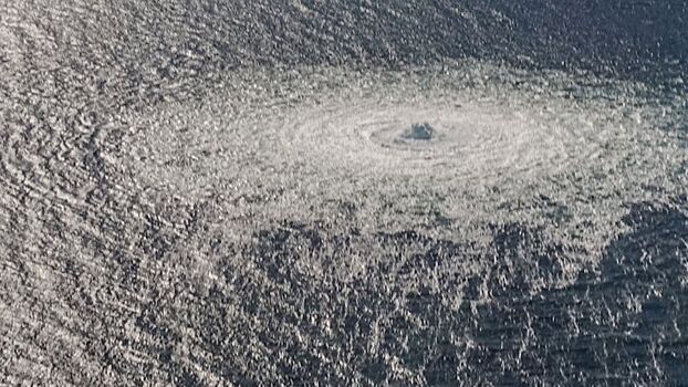 Замглавы ФНЭБ Гривач двумя фактами опроверг «утку» о покупке Германией труб с «СП»