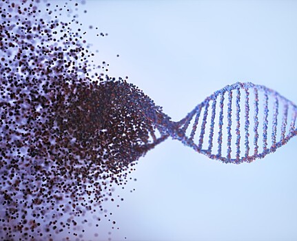 3 откровенные истории о поиске родственников через ДНК-тест