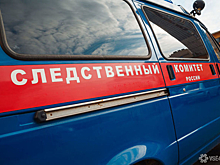 СК попросил продлить арест устроившему стрельбу в казанской гимназии