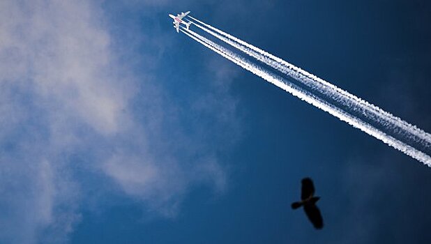 В Киеве произошло ЧП с самолетом с 169 пассажирами