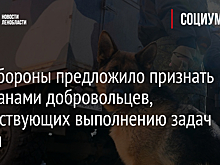 Минобороны предложило признать ветеранами добровольцев, содействующих выполнению задач армии