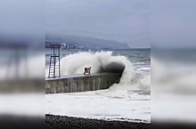 Видео: россиянин поборолся с волнами на пирсе в шторм