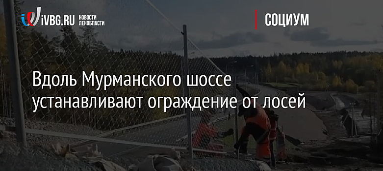 Вдоль Мурманского шоссе устанавливают ограждение от лосей