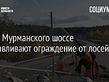 Вдоль Мурманского шоссе устанавливают ограждение от лосей