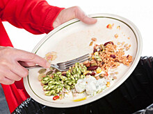 «Компост-мобиль» будет собирать пищевые отходы у жителей Петрозаводска