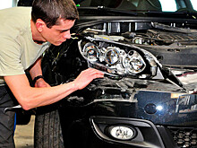 Страховая рассказала, где в России водителей преследуют вандалы и животные