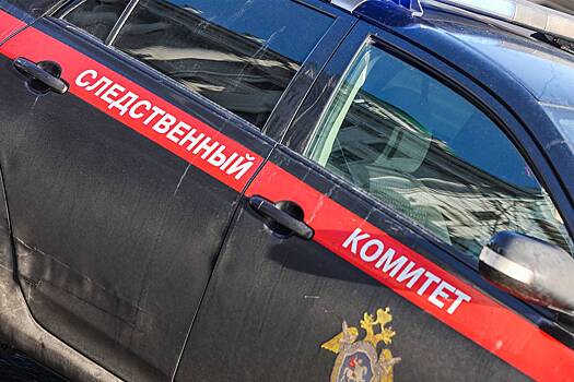 Российские следователи завели дело о раздавленном танком школьнике