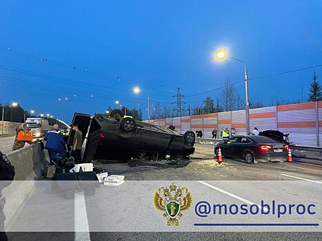 ДТП в Богородском округе унесло жизни женщины и ребенка
