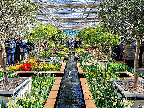 Выставка "Репетиция весны" откроется в Ботаническом саду МГУ в феврале