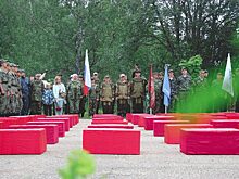 На Зайцевой горе перезахоронили останки 246 советских солдат