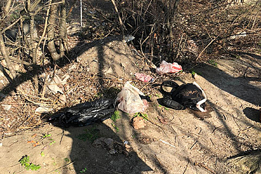 В России возле пруда найдено тело младенца в пакете