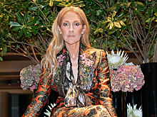 Западные СМИ: Селин Дион встречается с Расселом Кроу