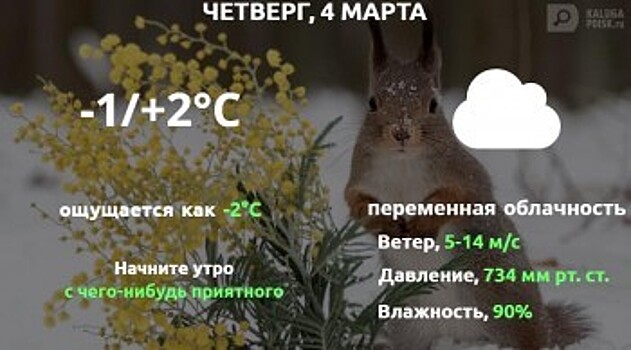 Прогноз погоды в Калуге на 4 марта