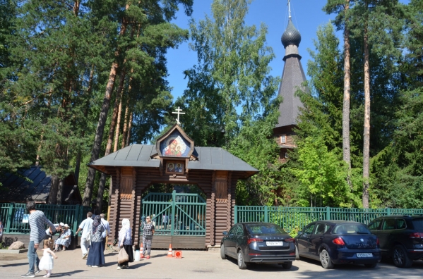 РПЦ просит у властей более 200 гектаров леса для строительства женского монастыря под Петербургом
