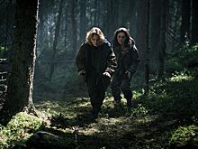 Начались съемки триллера «Лес»