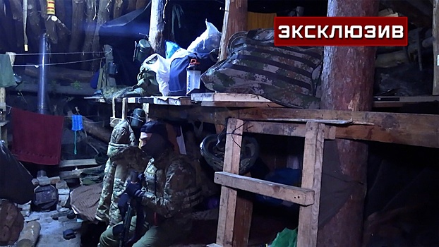 Артиллеристы замаскировали под холм дот в ДНР