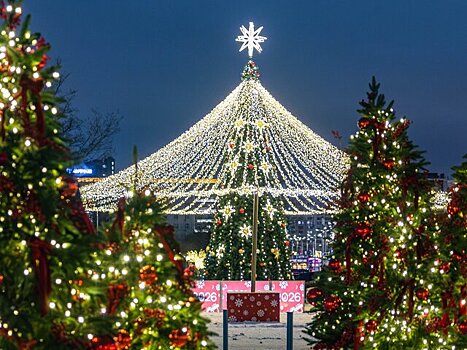 Большинство россиян-путешественников встретят Новый год по пути в Москву