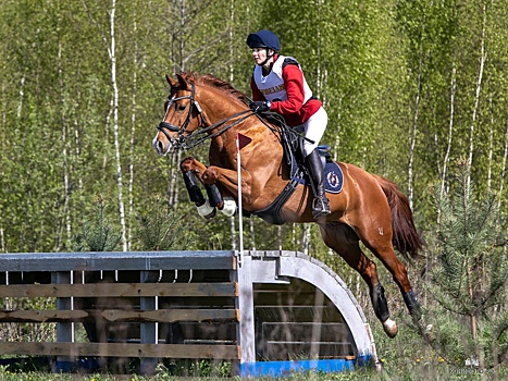 Воспитанница курской конноспортивной школы выиграла кубок Московской области