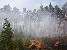 В Красноярском крае горит тайга: подробности к этому часу