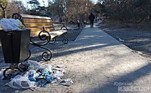 В Курске новый сквер, где никто не отвечает за вывоз мусора, превратили в свалку